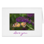 Lacewing Duet (Front Horizontal)