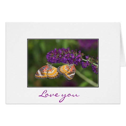 Lacewing Duet Cards (Front Horizontal)
