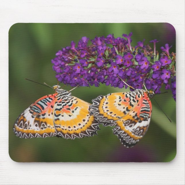 Lacewing Duet Mouse Pad (Front)