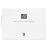 Lacey barnacles decorate green rock cards (Back Horizontal)