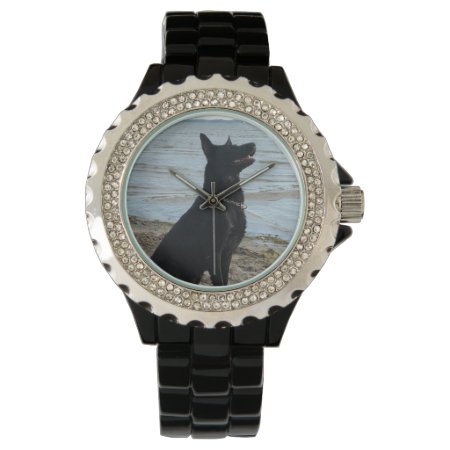 Lacquer Black German Shepherd At The Beach Watch