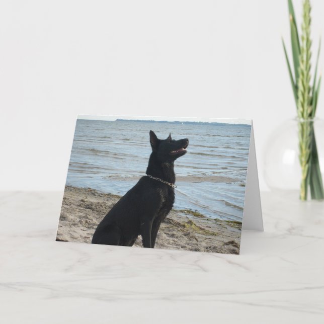 Lacquer Black German Shepherd Card (Front)