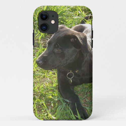 Lacquer Black German Shepherd iPhone 11 Case