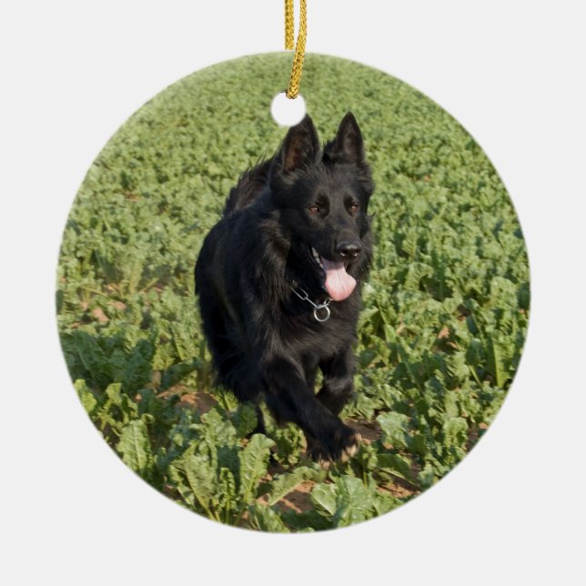 Lacquer Black German Shepherd Ceramic Ornament (Front)