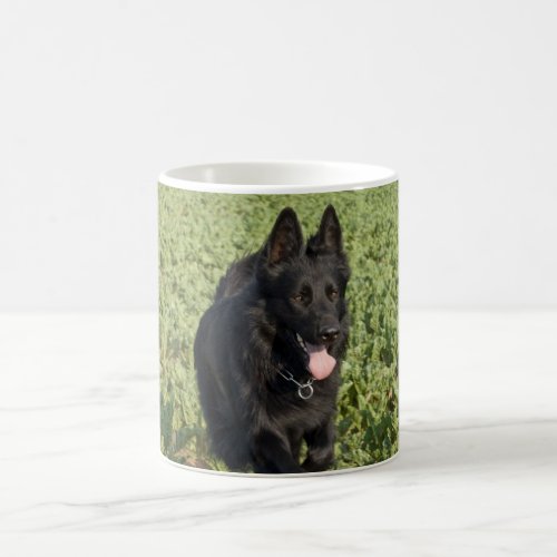 Lacquer Black German Shepherd Coffee Mug