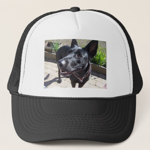 Lacquer Black German Shepherd Trucker Hat