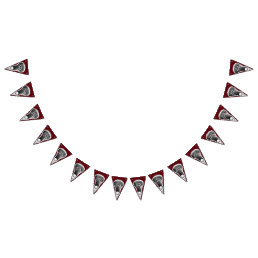 Lacrosse Party Bunting Flags