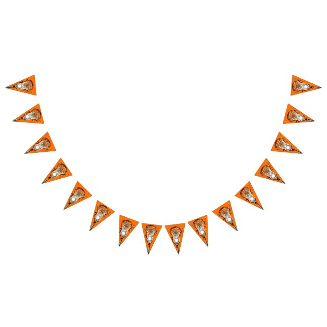 Lacrosse Party Orange Bunting Flags (All)