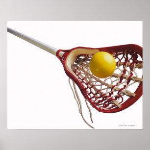 Lacrosse stick and ball poster