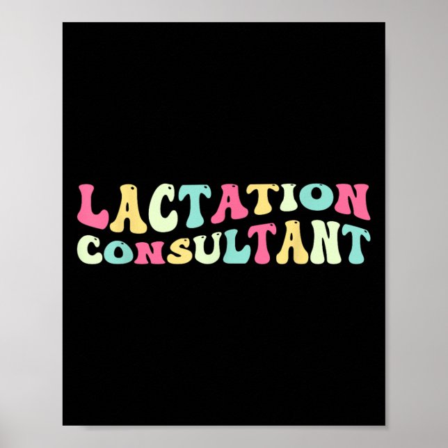 Lactation Consultant Breastfeeding Support Awarene Poster (Front)