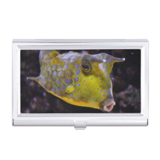 Lactoria cornuta business card case (Front)