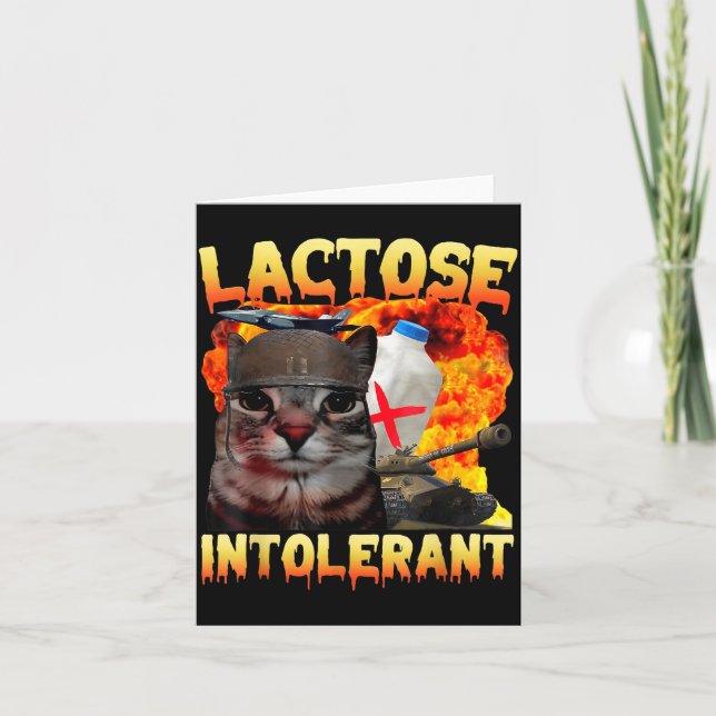 Lactose Intolerant Silly Cat Meme Funny Saying Cat Card (Front)