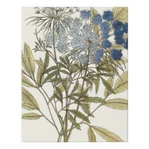 Lacy Leaves - Flowers and Greenery Faux Canvas Print