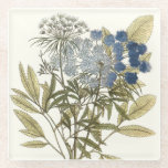 Lacy Leaves - Flowers and Greenery Glass Coaster<br><div class="desc">Lacy Leaves I by Unknown. Features blue-toned flowers with greenery.</div>