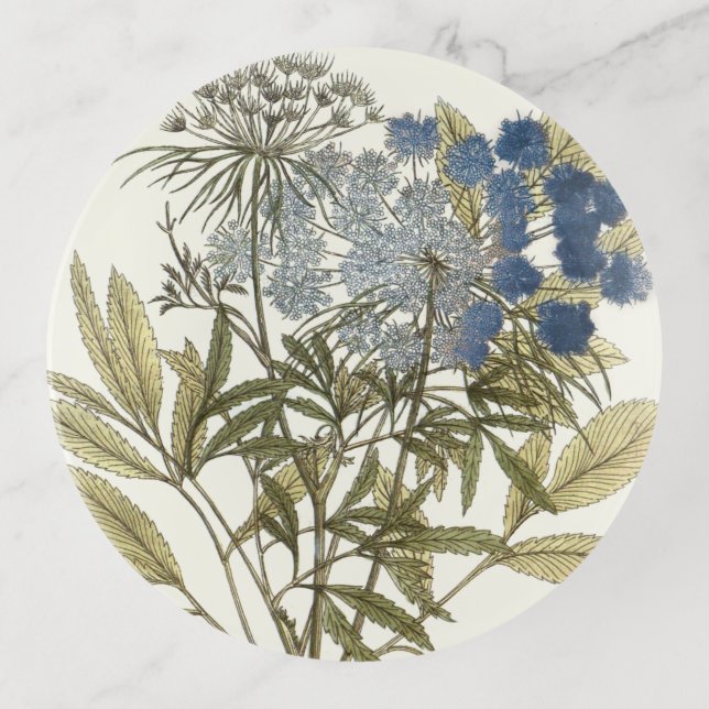 Lacy Leaves - Flowers and Greenery Trinket Tray (Front)