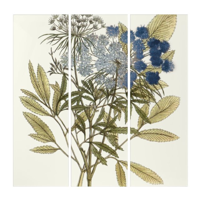 Lacy Leaves - Flowers and Greenery Triptych (Front)