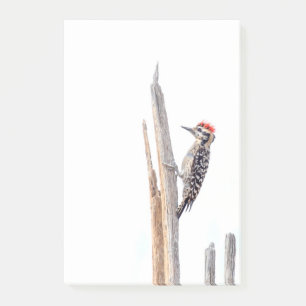 Ladder-Backed Woodpecker Post-it Notes