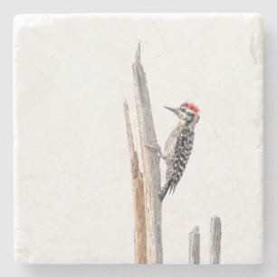 Ladder-Backed Woodpecker Stone Coaster