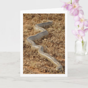 Ladder Snake Card
