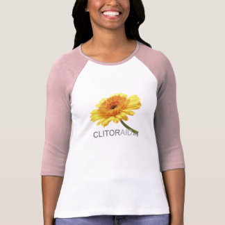 Ladies 3/4 Sleeve Raglan T-Shirt