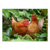 Ladies in Waiting (Front Horizontal)