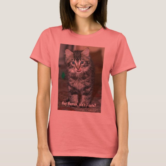 Ladies Kitten T T-Shirt (Front)