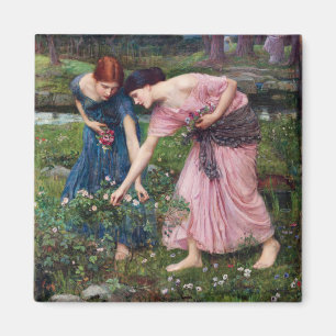 Ladies Picking Roses, John William Waterhouse Magnet