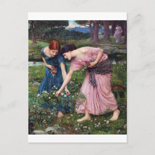 Ladies Picking Roses John William Waterhouse Postcard