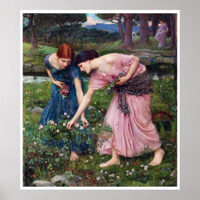 Ladies Picking Roses, John William Waterhouse Poster (Front)