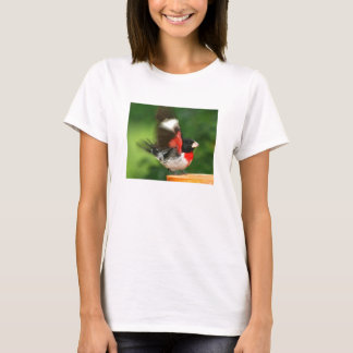 Ladies T shirt - Grosbeak