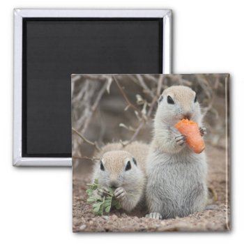 Ladies Who Lunch Magnet by poozybear at Zazzle