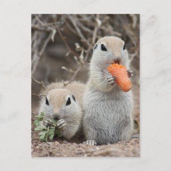 Ladies Who Lunch Postcard by poozybear at Zazzle