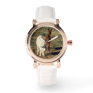 Ladies Young Brown And White Woolly Alpacas, Watch