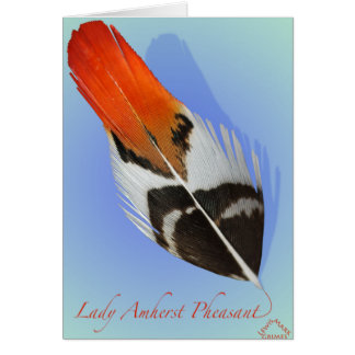 Lady Amherst Pheasant Flank Cards