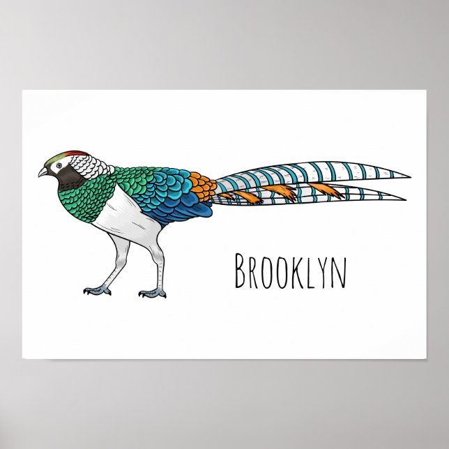 Lady amherst's pheasant bird cartoon illustration poster (Front)