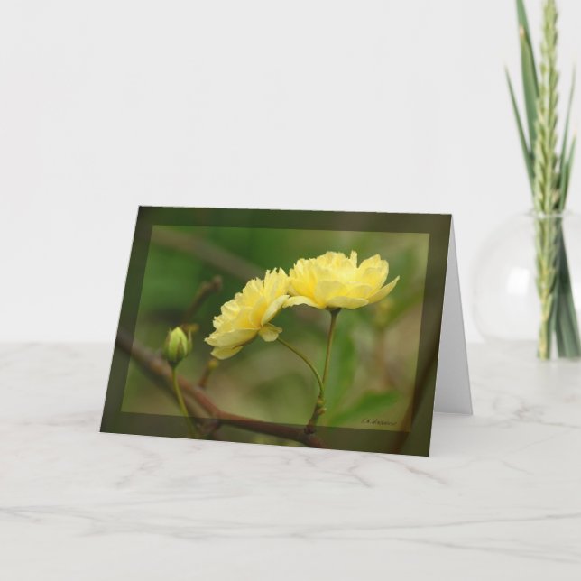 Lady Banks Rosea Duo Card (Front)