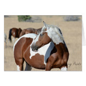 Lady Braveheart Card (Front Horizontal)