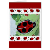 Lady-Bug (Front)