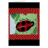 Lady Bug (Front)