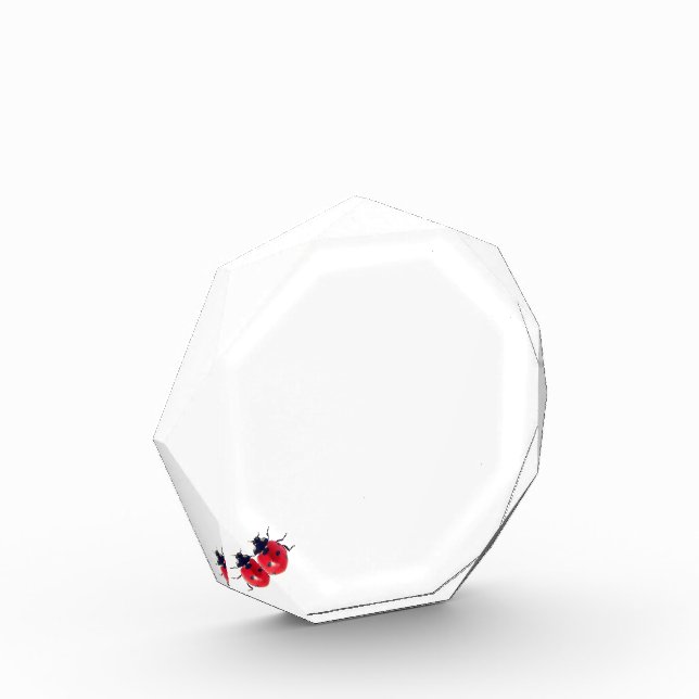 Lady Bug  Acrylic Award (Left)