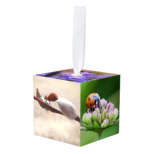 Lady bug Animal Office Custom Destiny Destiny'S Cube Ornament