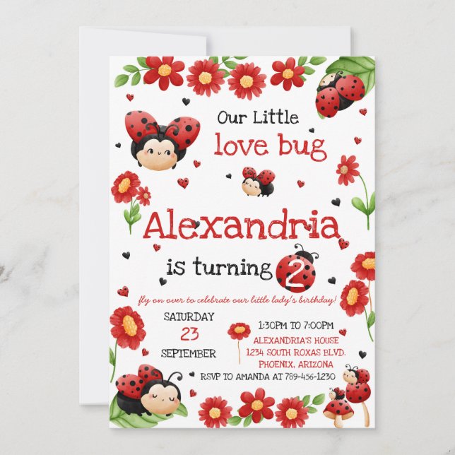 Lady Bug Birthday Invitation (Front)