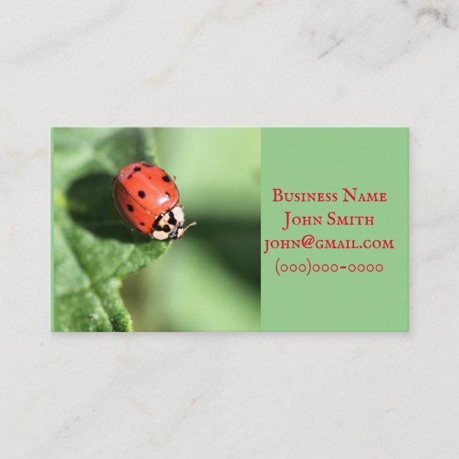 Lady bug business card (Front)