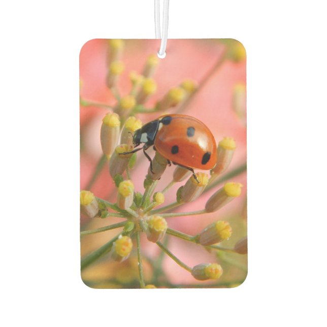 Lady Bug Car Air Freshener (Back)