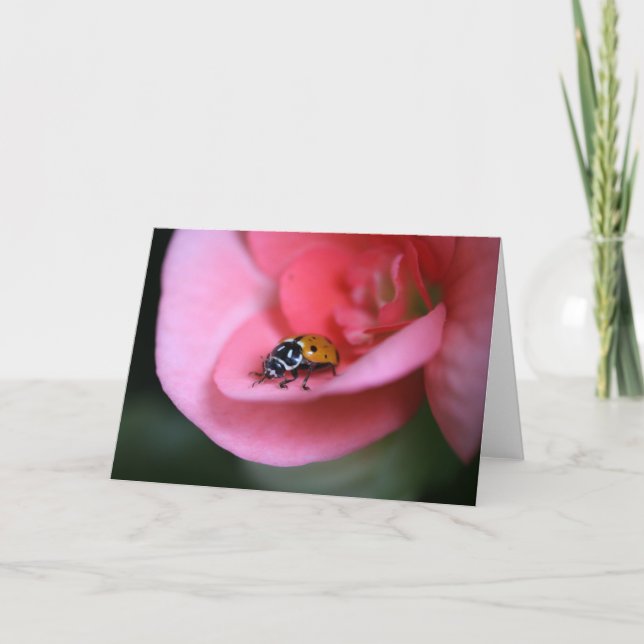 Lady Bug Card (Front)