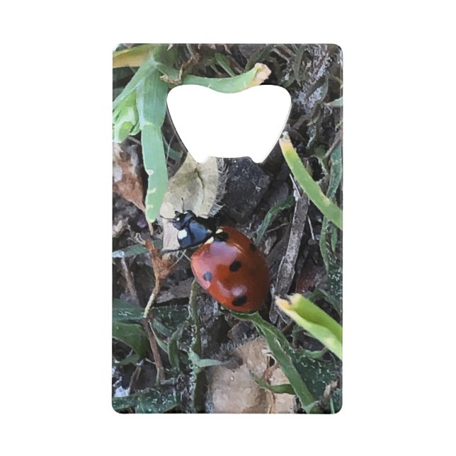 Lady Bug Credit Card Bottle Opener (Front)