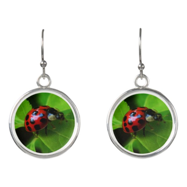 Lady Bug Earrings (Front)