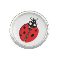 Lady Bug Illustration