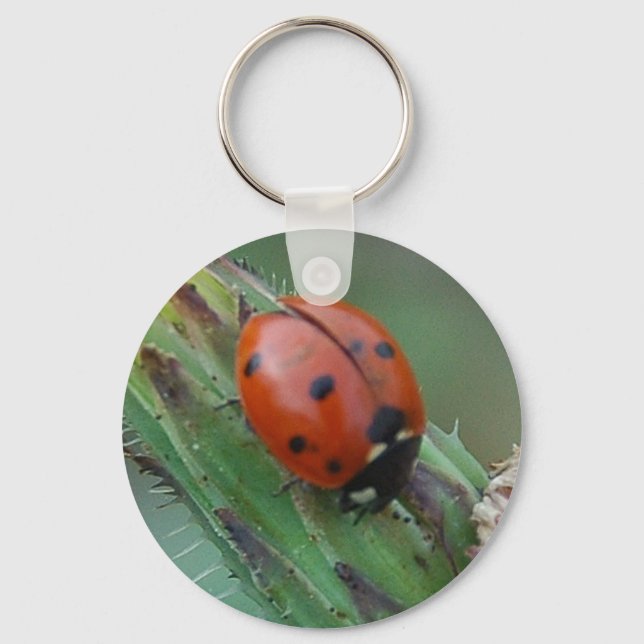 Lady Bug Keychain (Front)