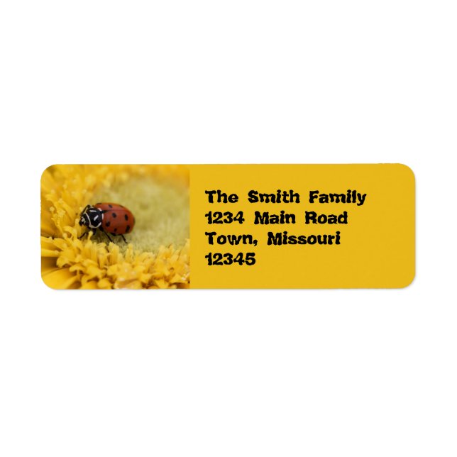 Lady bug label (Front)